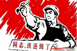 桐城为什么选择专业追讨公司来处理您的债务纠纷？